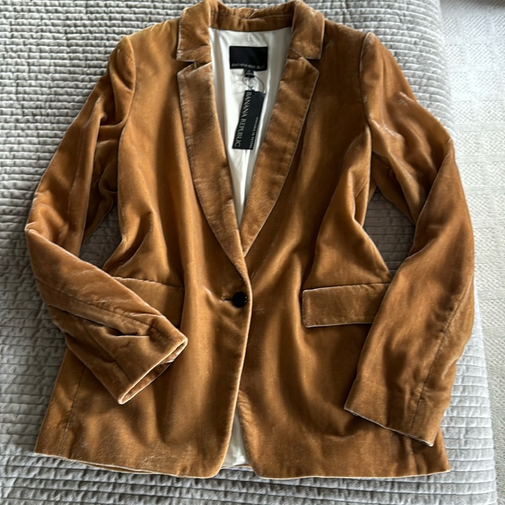 Banana Republic velvet blazer